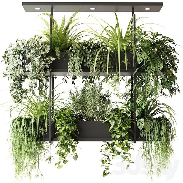 Hanging plants indoor plant hanging plants OSLO 3ds Max