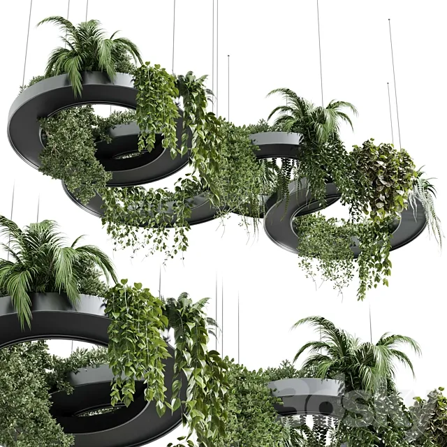 Hanging Plants – Indoor plants 309 3ds Max