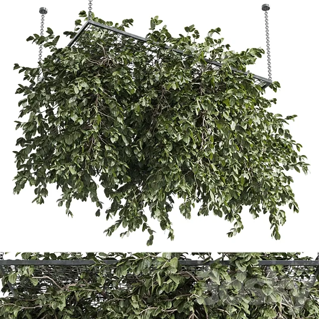 Hanging plants – outdoor plant set 171 3DS Max Model