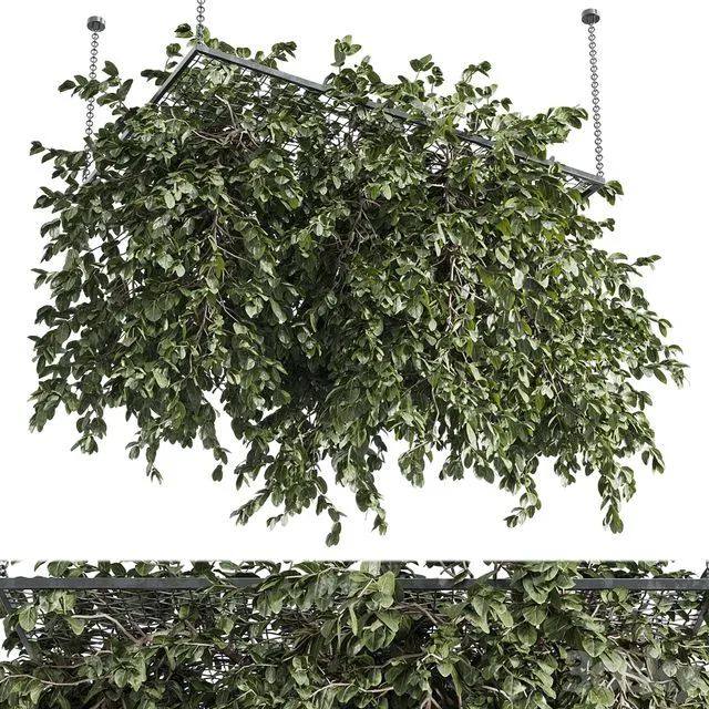 Hanging plants – outdoor plant set 171 3dsMax Model