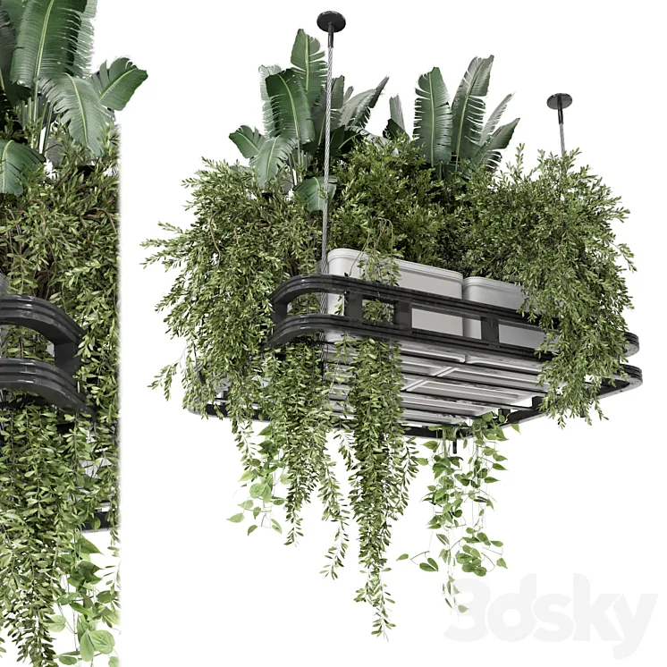 Hanging Plants Set in Concrete Pot – Set 1113 3DS Max Model
