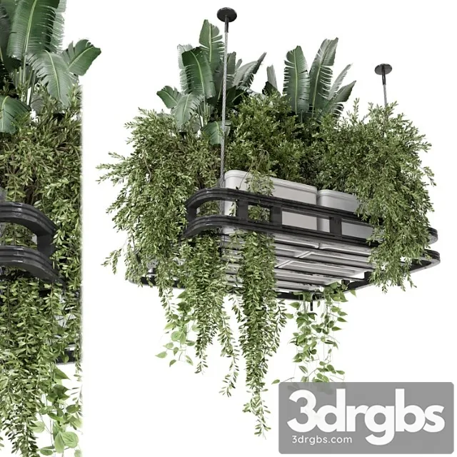 Hanging plants set in concrete pot – set 1113