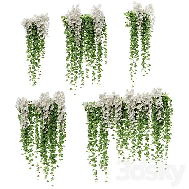 Hanging plants with white orchid flowers 3DS Max Model