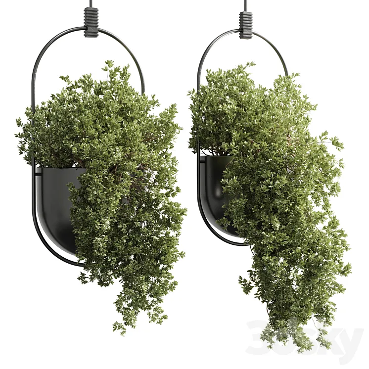 hanging pot collection indoor outdoor Indoor plants15-metal bax vase corona 3DS Max Model