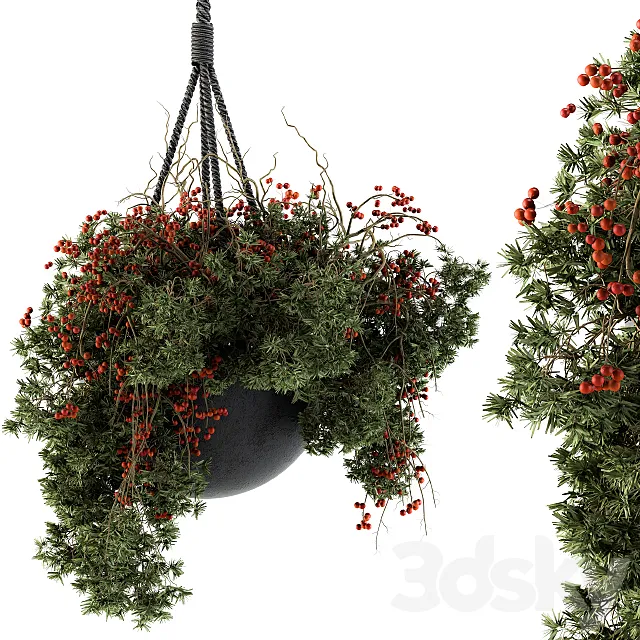 Hanging Pot plant – Set 102 3DS Max Model