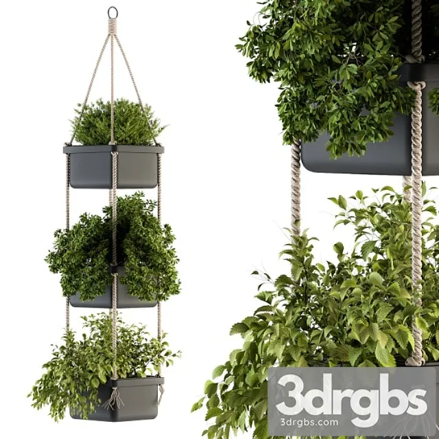 Hanging pot with rope – indoor plants 164