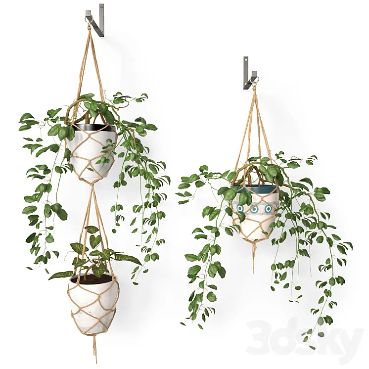 Hanging pots 3DS Max