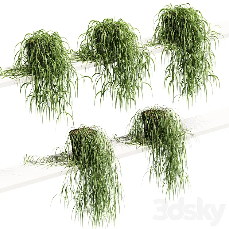Hanging potted plant on the shelf. 5 models 3DS Max