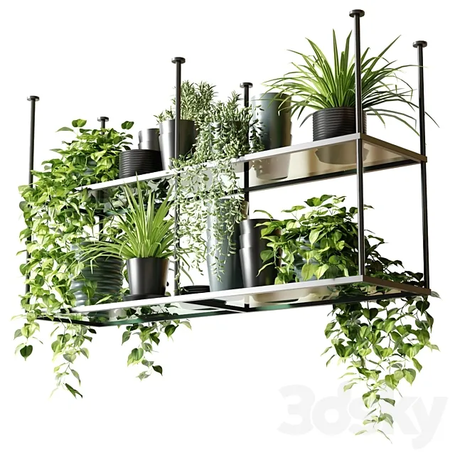 Hanging shelf with plants for the kitchen 3ds Max