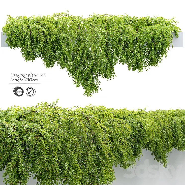 Hanging_Plant_24 3DS Max Model