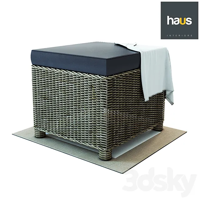 Haus Interior – Puff from woven rattan 3ds Max