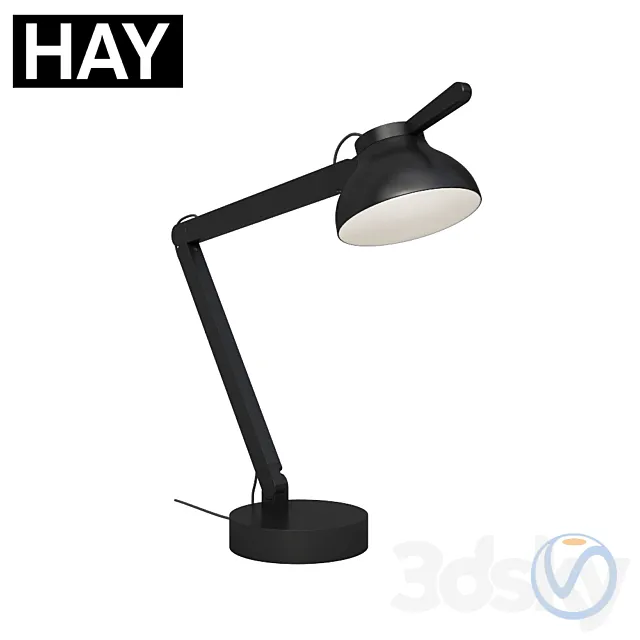 Hay PC Lamp 3DS Max Model