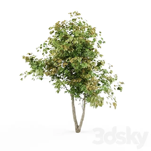 HD_tree_01_jefpreti.com 3ds Max