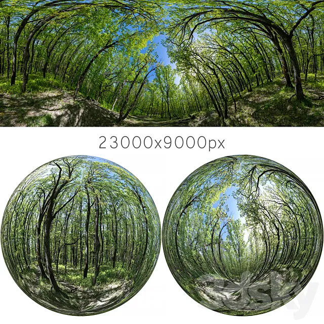 HDRI map from oak forest 3dsMax Model