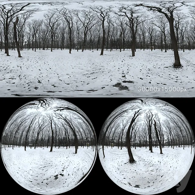 HDRI map from the winter park. 30k 3DSMax File