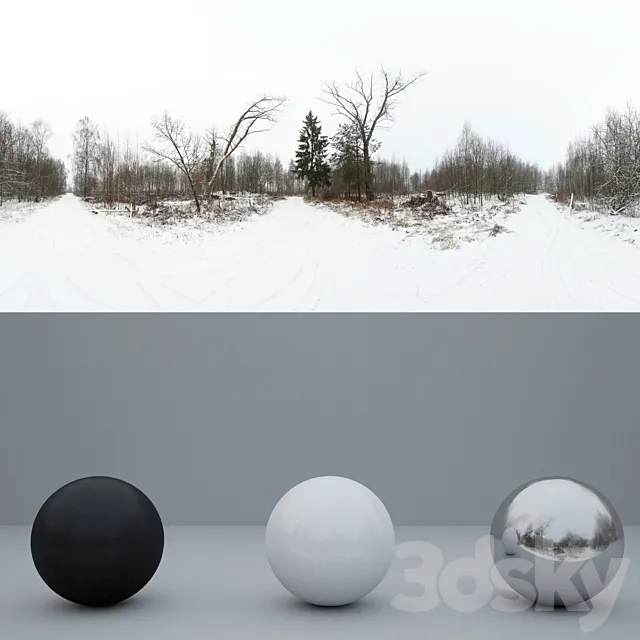 HDRi Winter 3ds Max