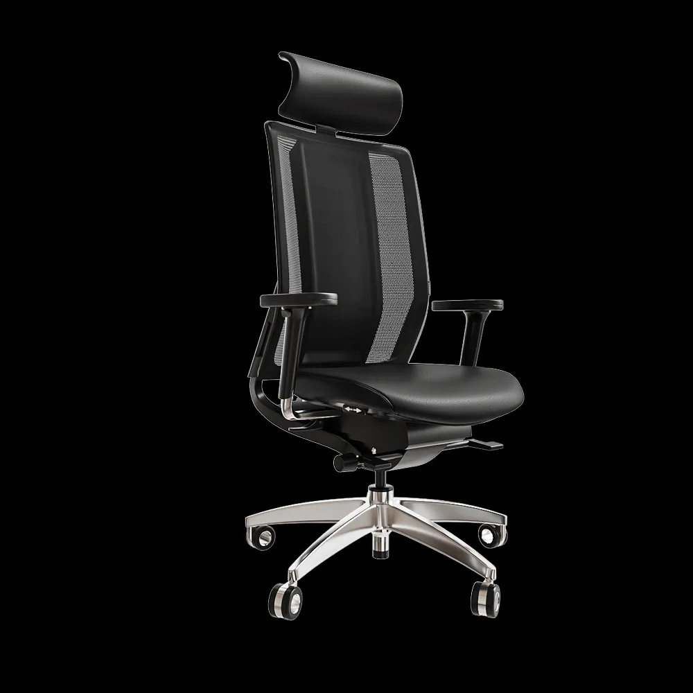 Health office – Armchair Imedic Limited 3ds Max