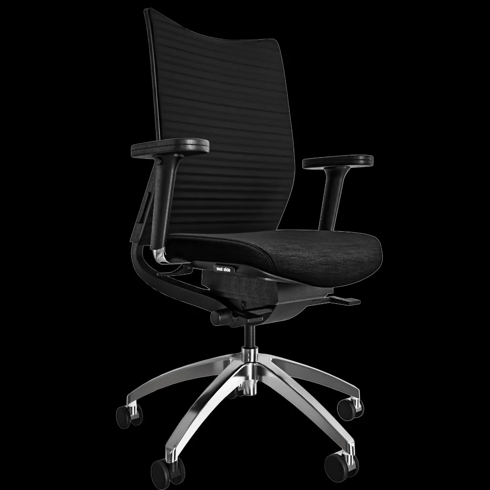 Health office – Chair Ergo Medic 100-3 3ds Max