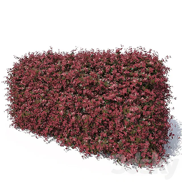 Hedge 3ds Max