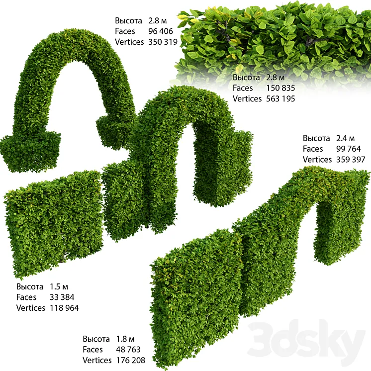 Hedge 3DS Max