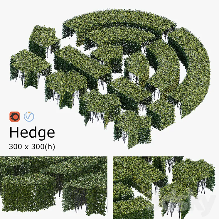Hedge 3×3 3DS Max