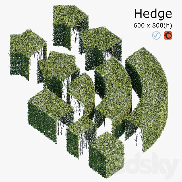 Hedge 6×8 3ds Max