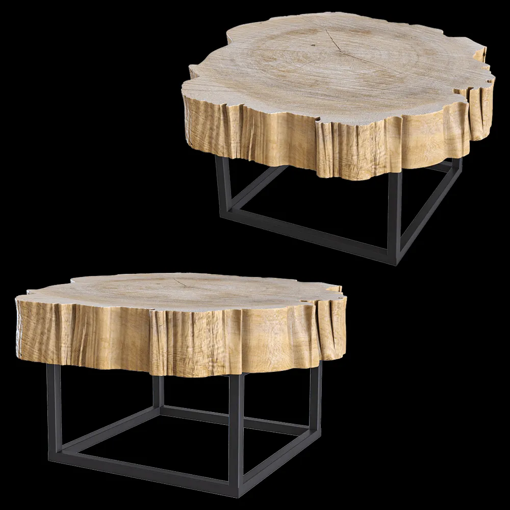 Heerenhuis Manufactuur – Coffee table Poplar 33 3ds Max