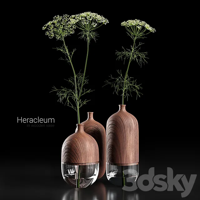 Heracleum in wooden vase 3DSMax File
