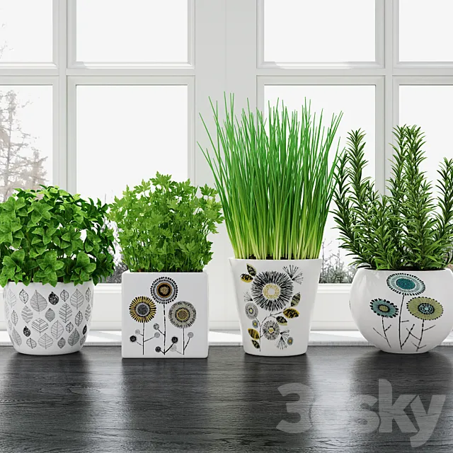 Herbs in pots 3DS Max Model