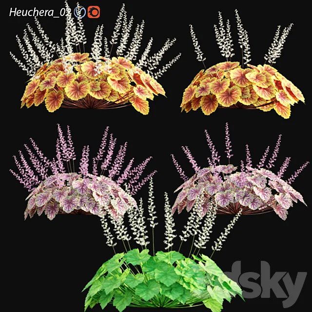 Heuchera – Coral Bells 02 3ds Max