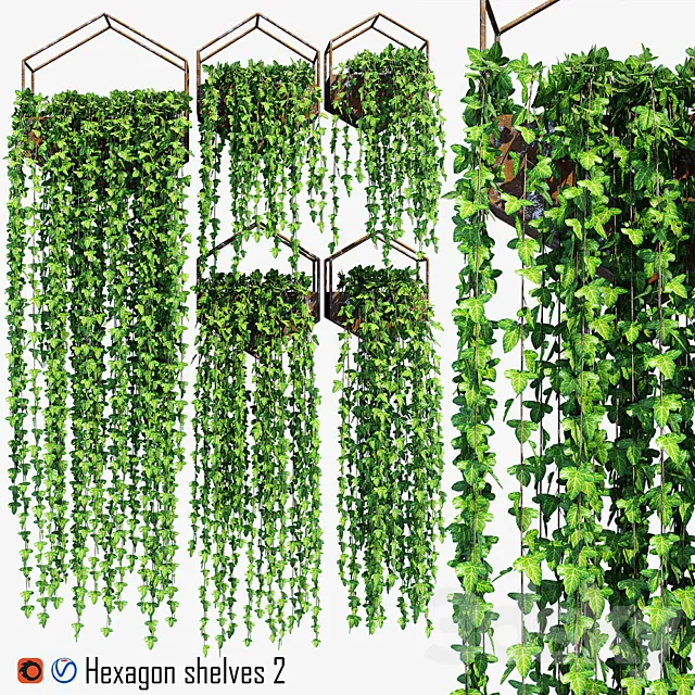 Hexagon shelves 2 3DS Max Model