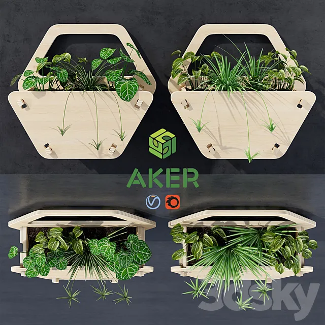 Hexagon wall planter 3ds Max