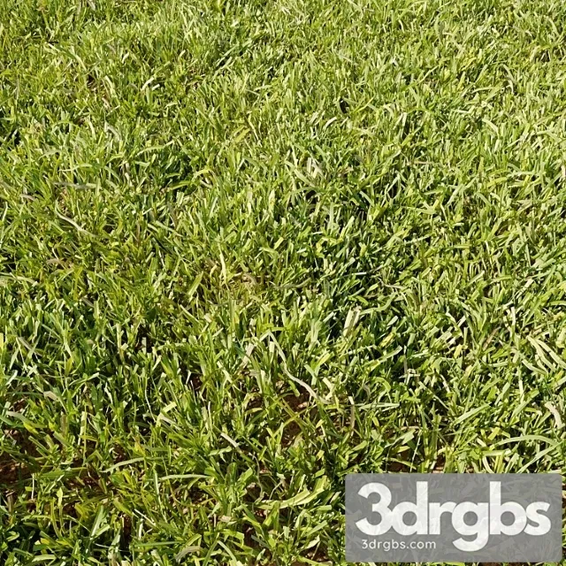 High details grass