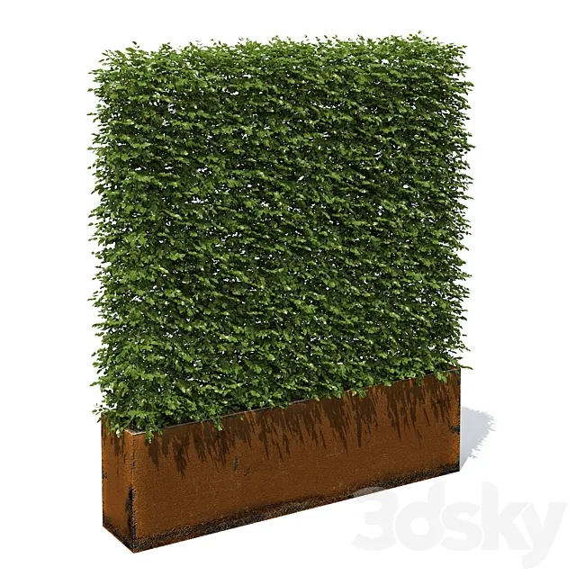 High hedges 3ds Max