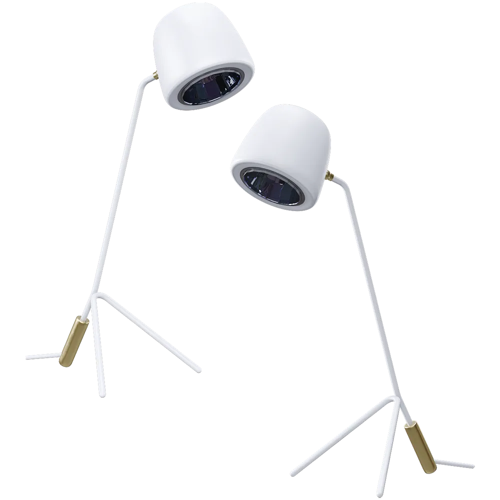 HIND RABII – Table lamp Ice Donna S 3ds Max