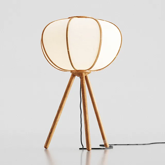 H&M Bamboo floor lamp 3DS Max Model