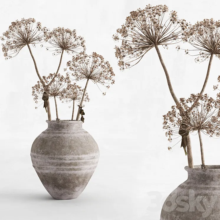 Hogweed in a clay vase 3DS Max