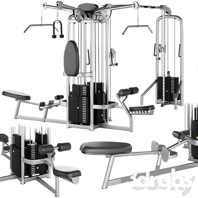 Hoist Multi Jungle Gym System Cmj 6600 S 6 Station 3dsmax Download