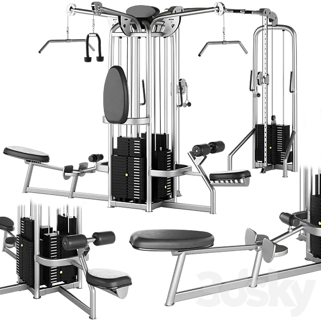 HOIST MULTI JUNGLE GYM SYSTEM CMJ-6600-S 6 STATION 3DS Max Model