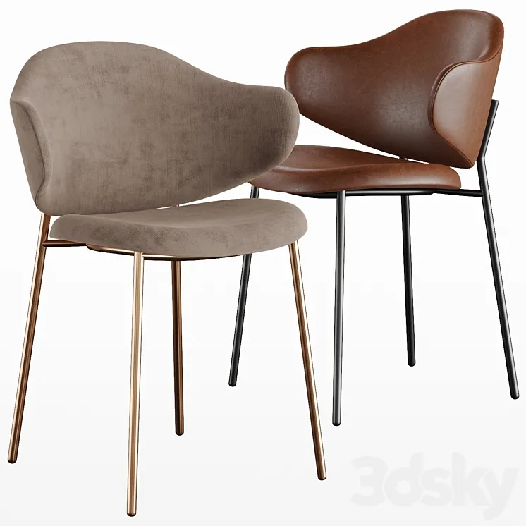 Holly chair Calligaris 3DS Max