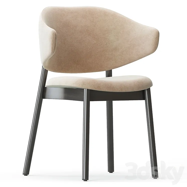 Holly Home Chair Calligaris 3DS Max Model