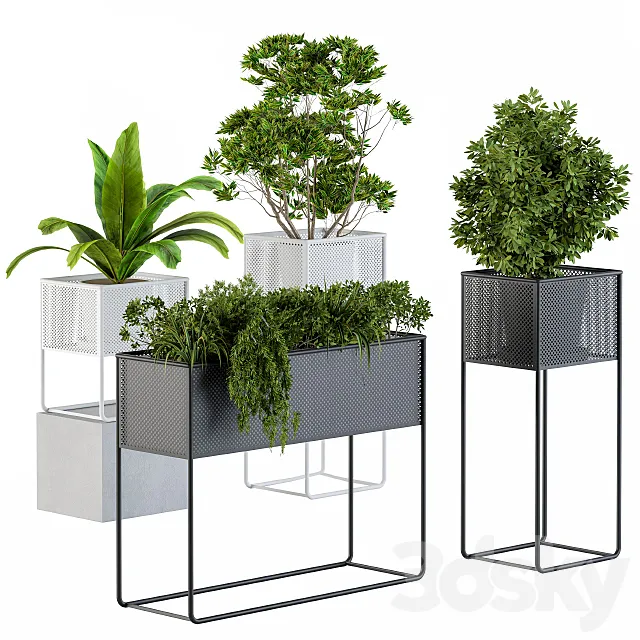 Home Set Plants Metal Box 3ds Max