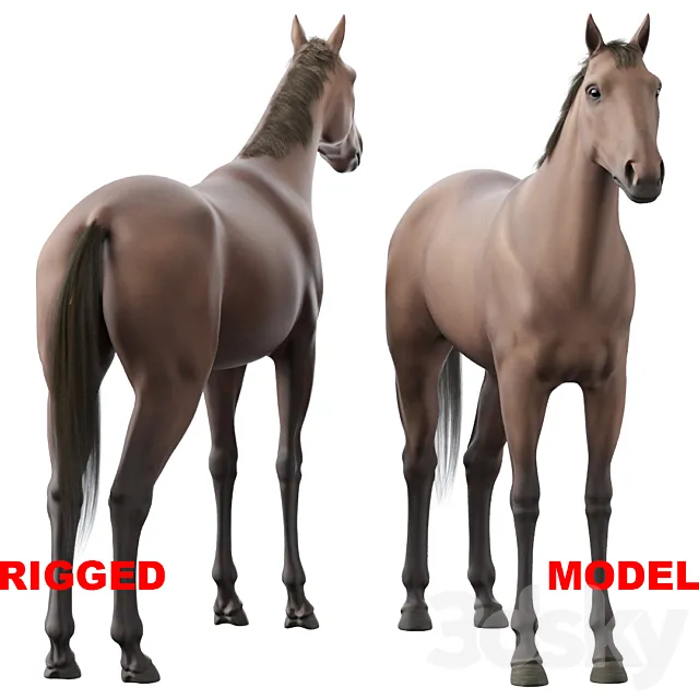 Horse 3ds Max