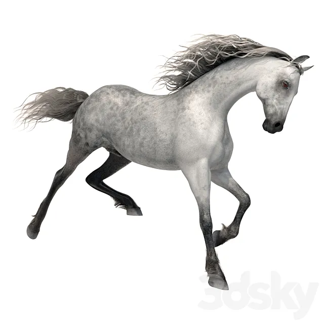 Horse 3ds Max