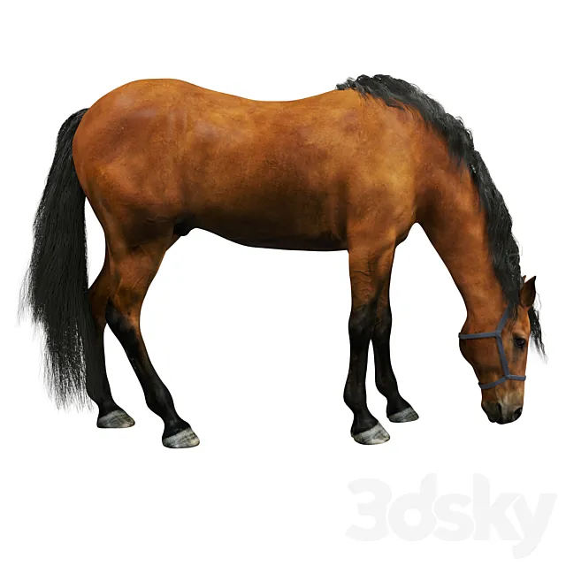 Horse 3DSMax File