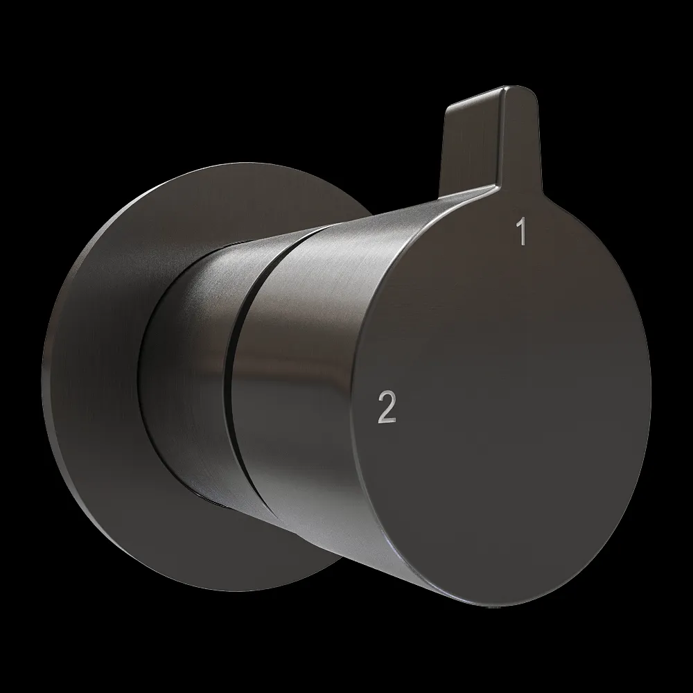 Hotbath srl – 2-way concealed diverter AC111 3ds Max
