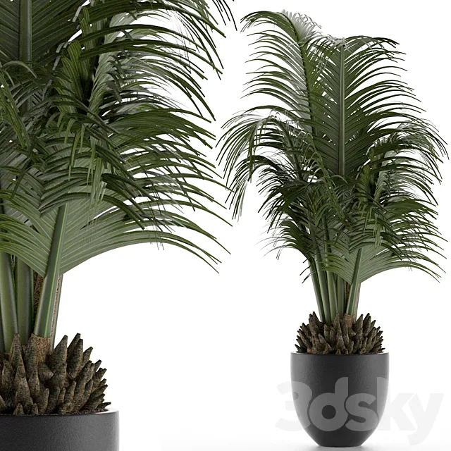 House Plant 30 3DS Max Model