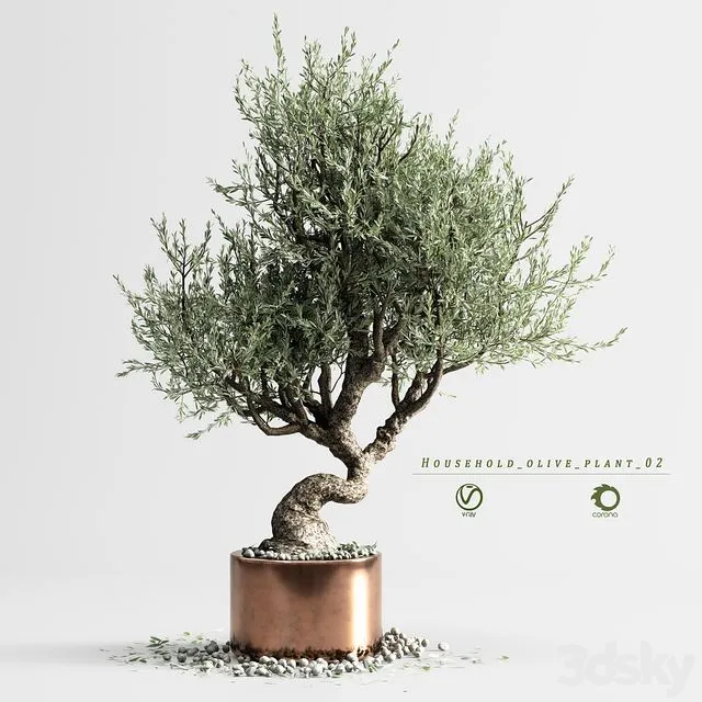 Household olive plant 02 3dsMax Model