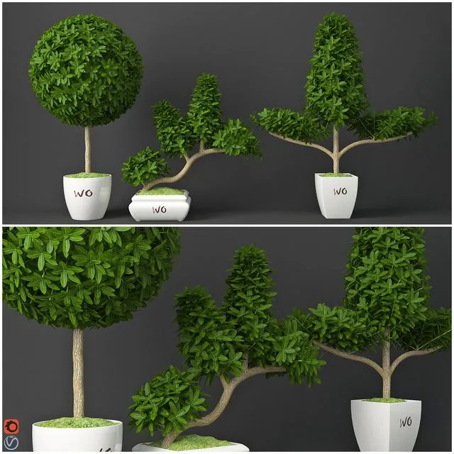 Houseplant 15 3dsMax Model