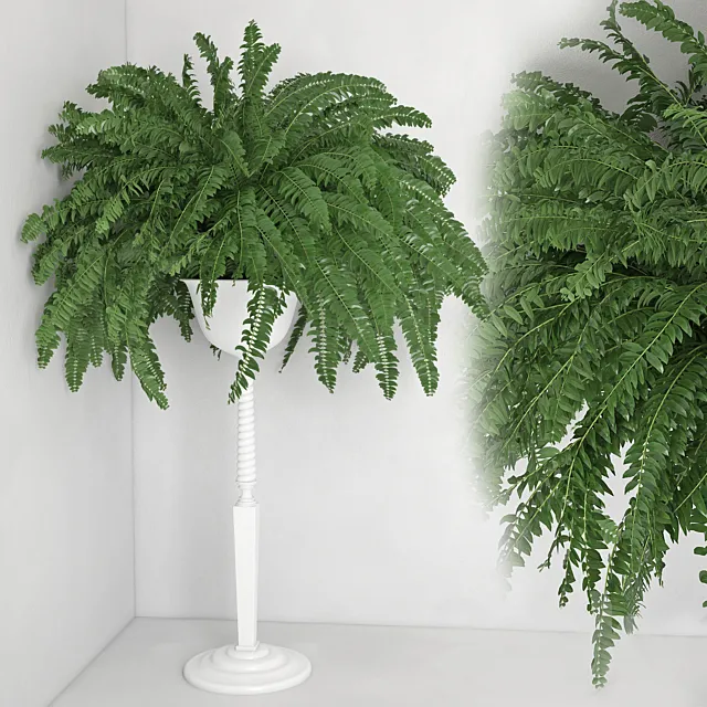 Houseplant 21 3ds Max